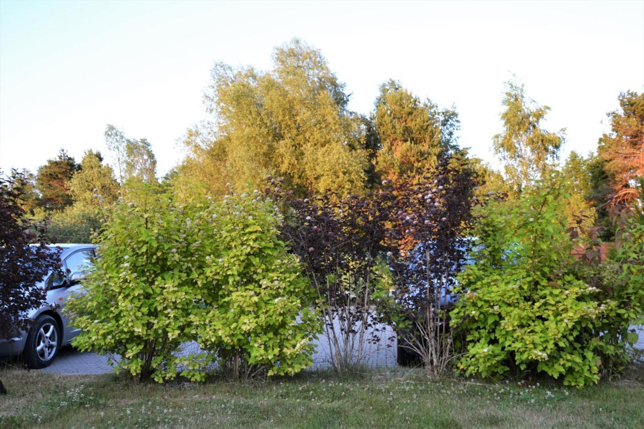 Domki Holenderskie ,, Latajacy Holender" Dębki Exterior foto